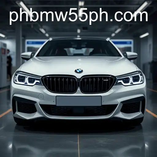 Understanding User Agreements in the Context of BMW55 ph
