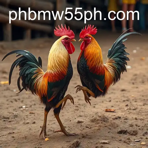 The Complex Legacy of Cockfighting