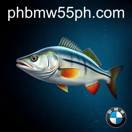 Discovering Online Fishing: An Insight into BMW55 ph